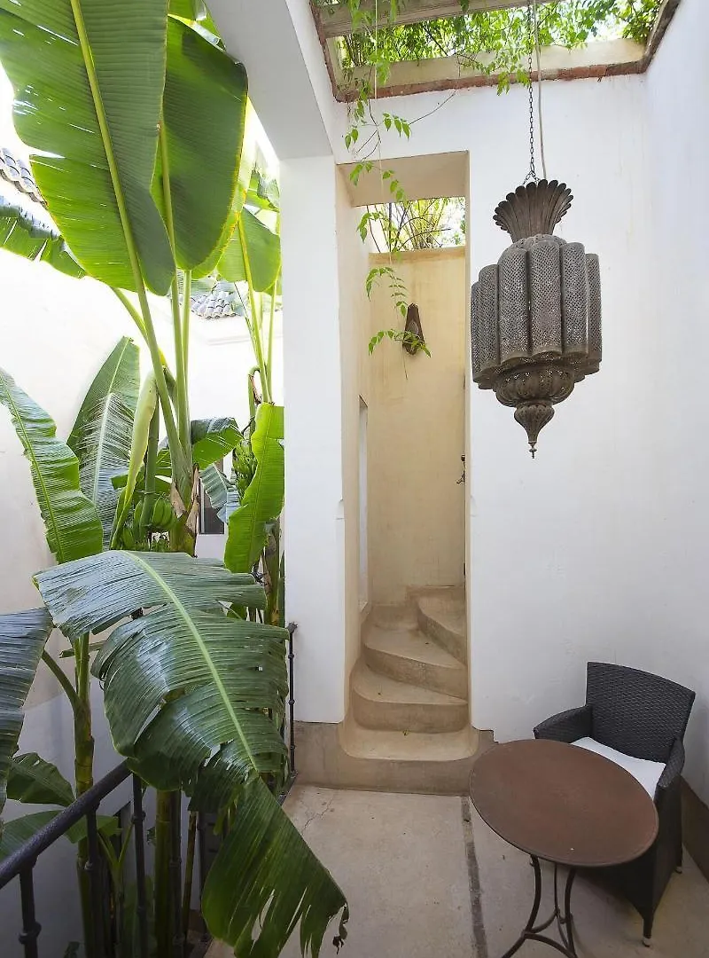 Riad Camilia Marrakesh